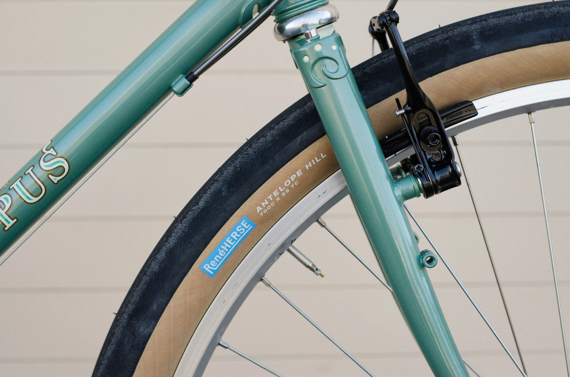 60cm Platypus Web Special - Image 5