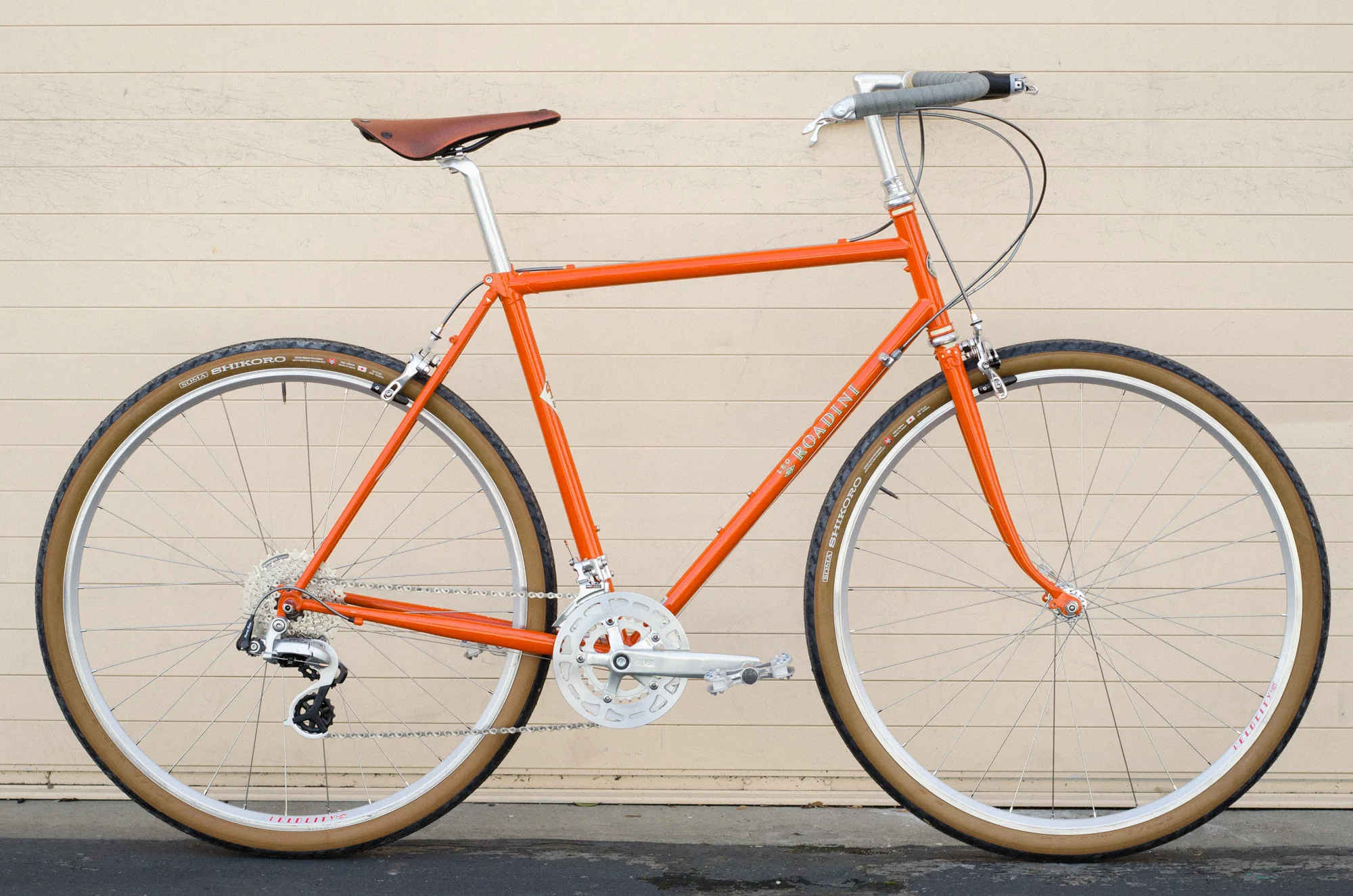 Albastache 54cm Roadini special - Image 2