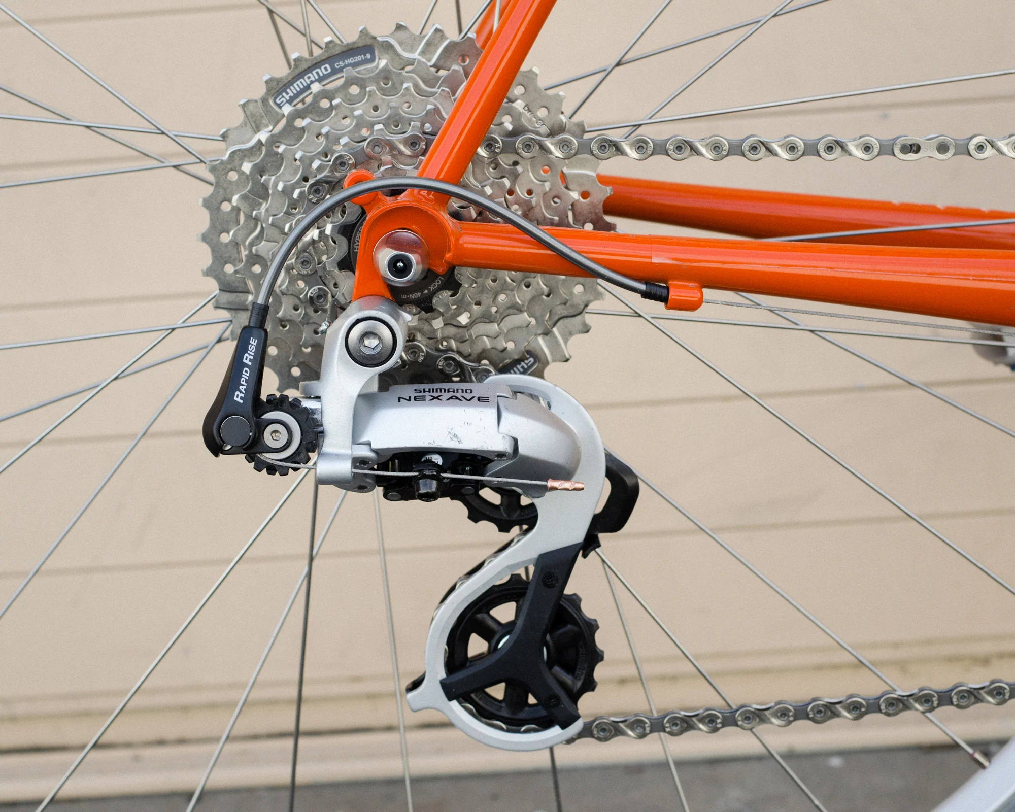 Albastache 54cm Roadini special - Image 4
