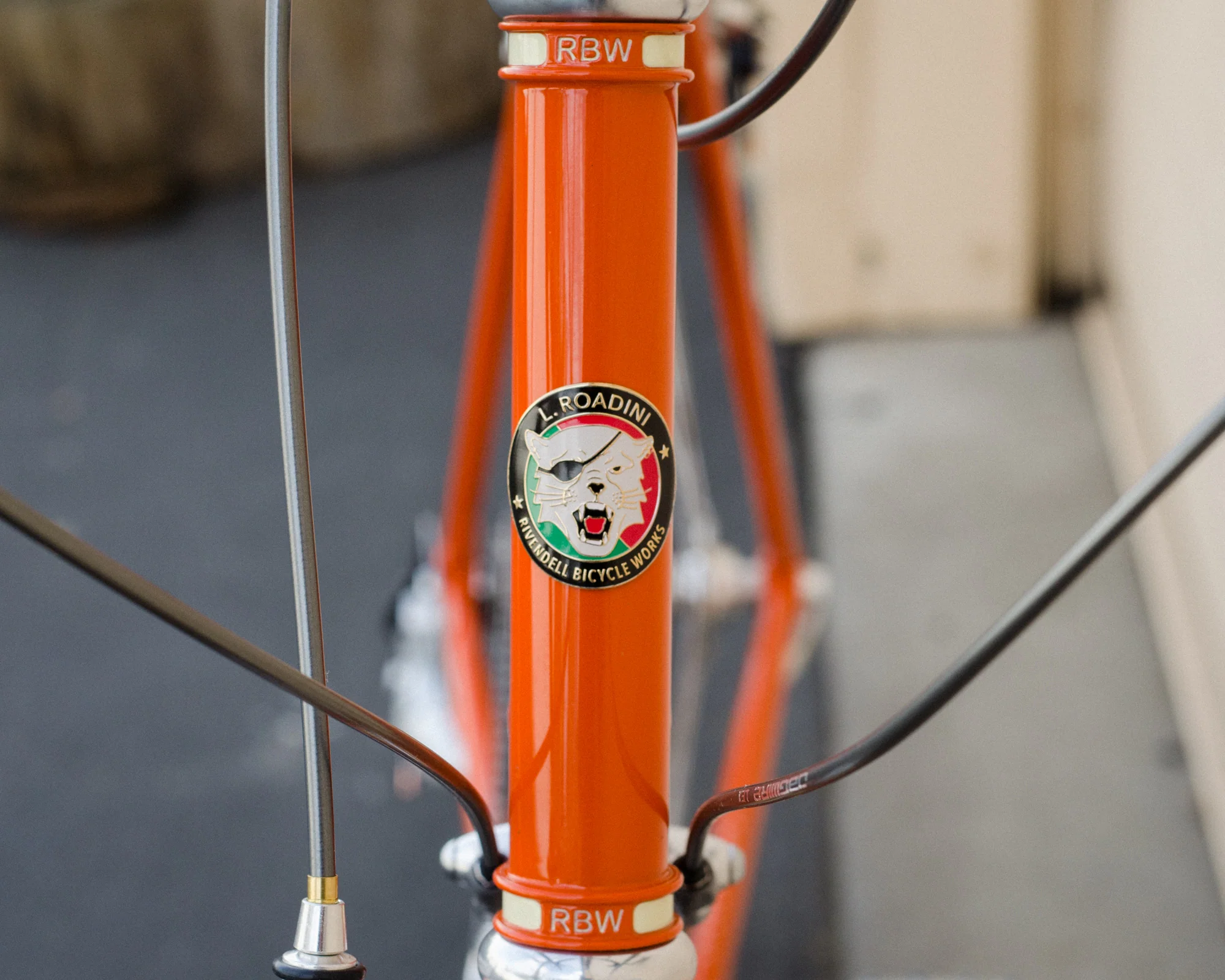 Albastache 54cm Roadini special - Image 7