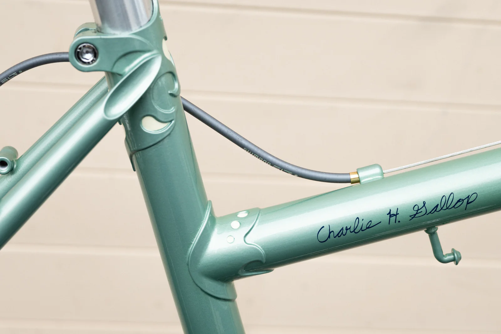 Gallop Build - Antonio's Albatross Bar Package - Image 4