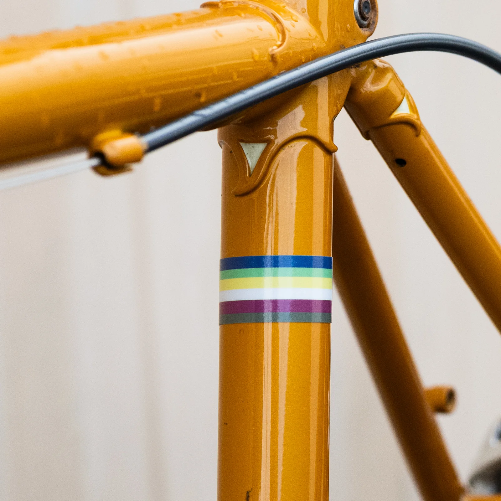 Rivendell World Champion Stripe Sticker - Image 3