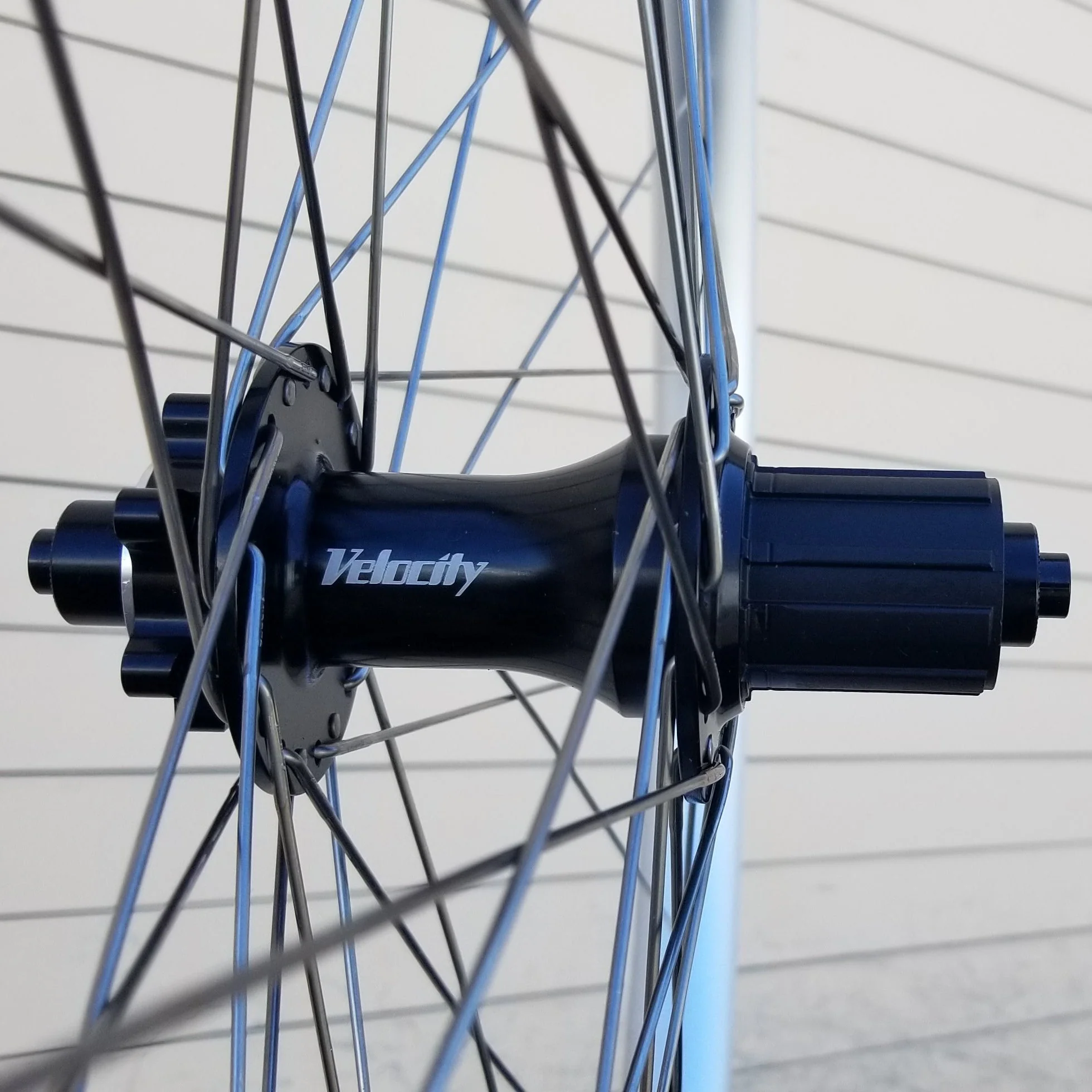 Wheelset - Velocity-built Tandem Cliffhanger (vbw) - Image 4
